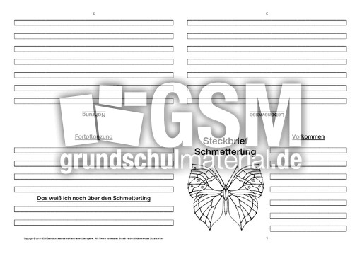 Schmetterling-Faltbuch-vierseitig-3.pdf